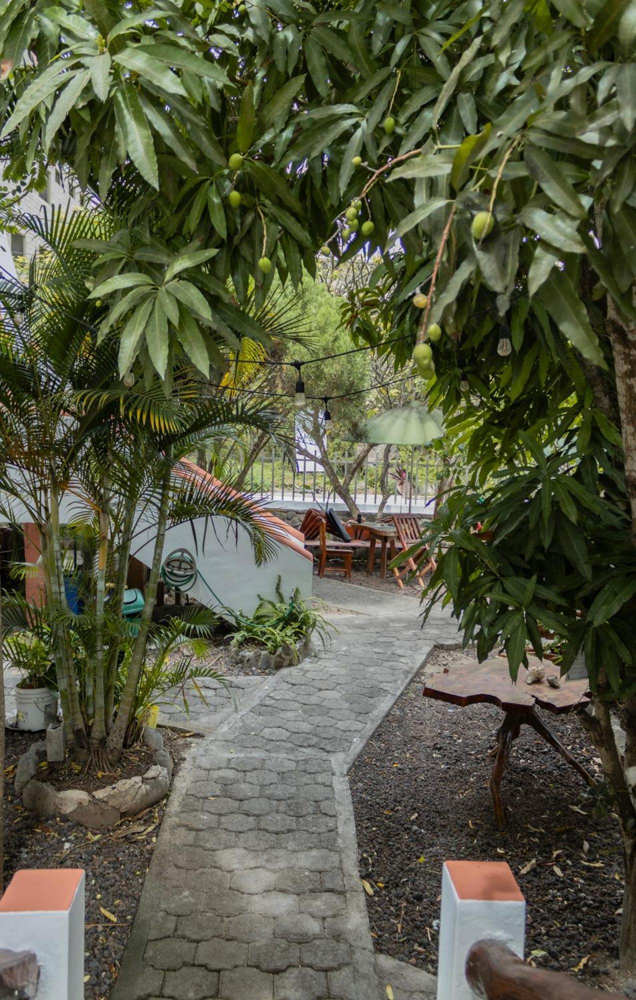 巴克里索莫雷诺港 Casa De Nelly酒店 外观 照片